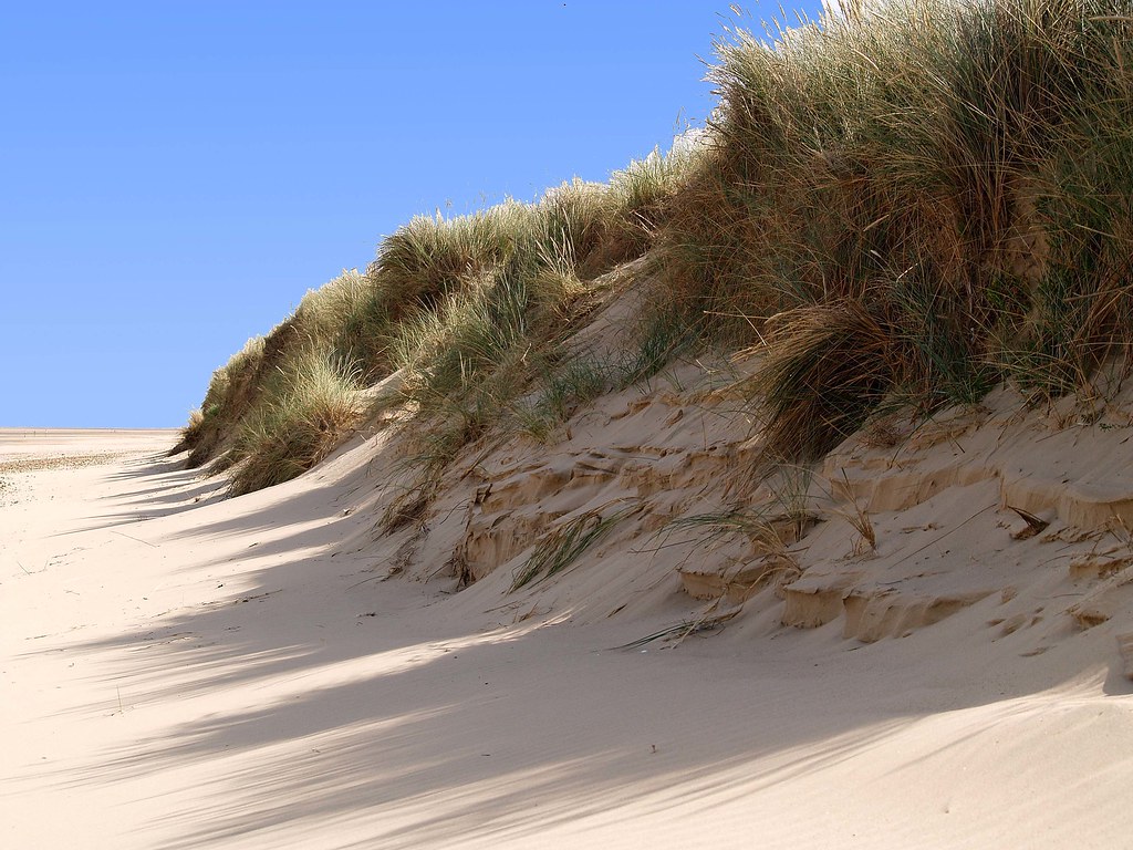 A Typical North Norfolk, Sand Dune Miles of Sandy pristine… Flickr