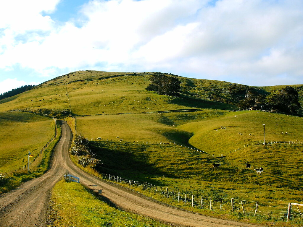 Where two roads one New Zealand Kameradski Flickr