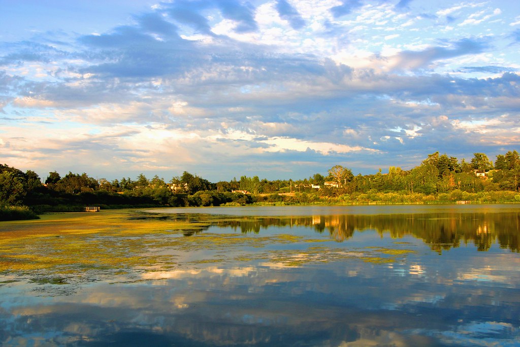 Swan Lake, Victoria, BC, Canada Swan Lake in the afternoon… Flickr