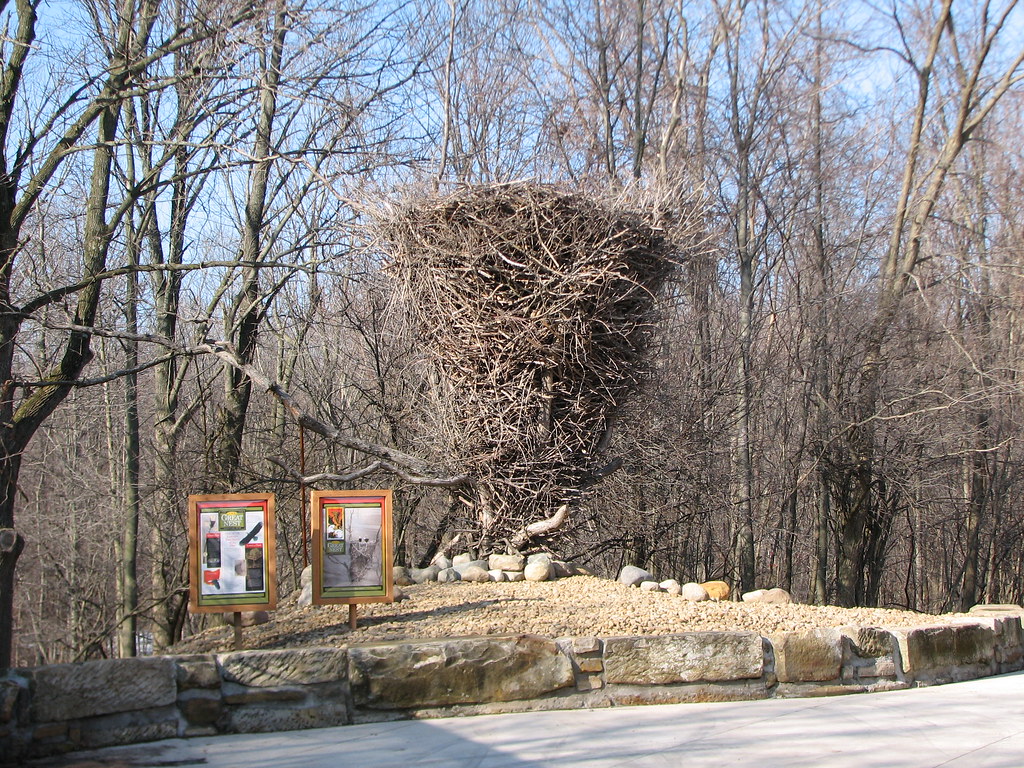 The Great Nest This is a replica of the Great Nest of
