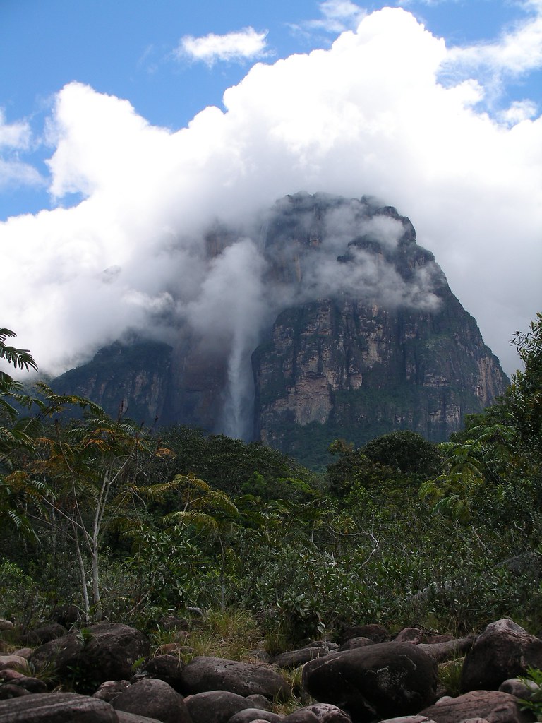 Angel Falls This is a picture of the Angel Falls (Salto el… Flickr