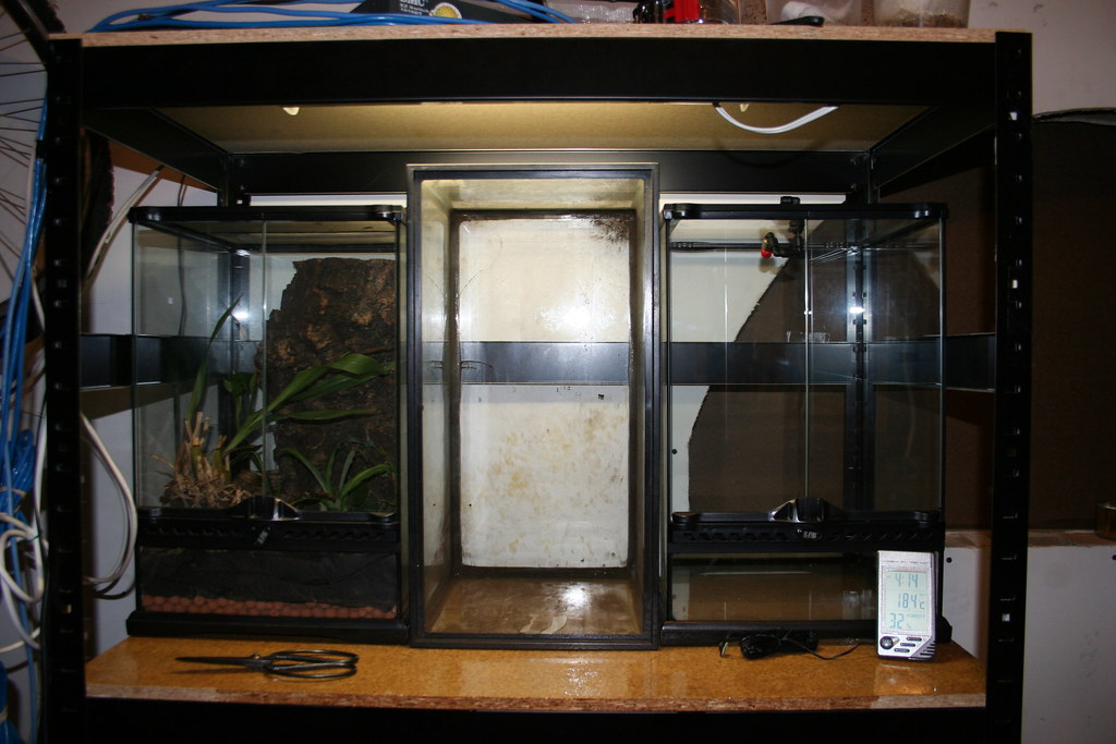 Top shelf of the frog rack An ExoTerra on each side and a… Flickr