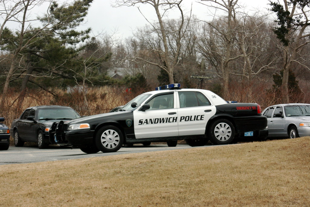 SANDWICH POLICE quick...take me to the mayo clinic. Andrew Miller