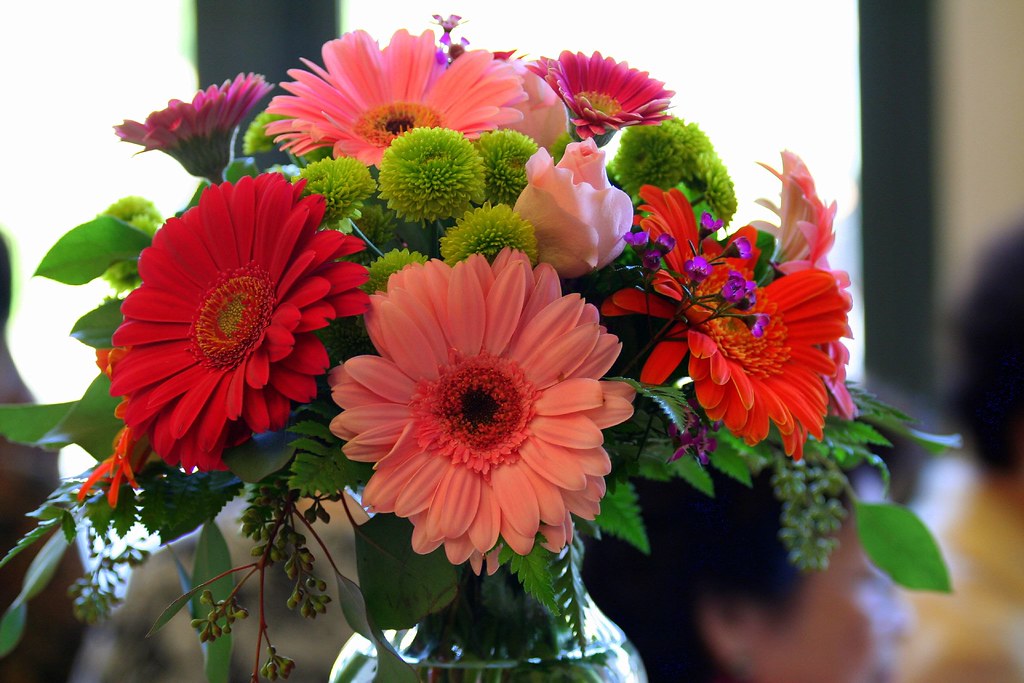a bouquet of daisies Gerbera Daisies which formed the en… Flickr