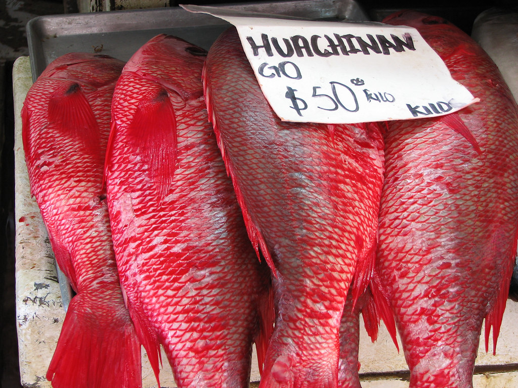 Huachinango Mercado de Mariscos, Ensenada, BC Snapper fish