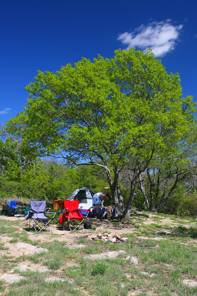 img_0524 LBJ National Grasslands near Decatur, TX schramroyal Flickr