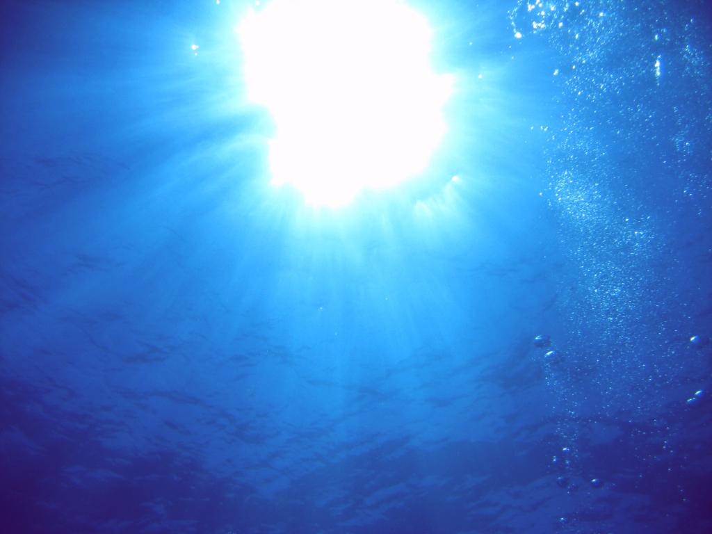 Underwater sun Looking up from about 40 feet below the sur… tobze
