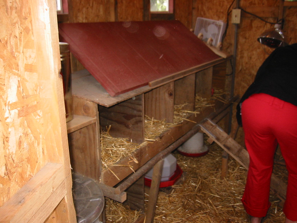 Chicken Coop Tour Picture from Seattle Tilth City Chicken … Flickr