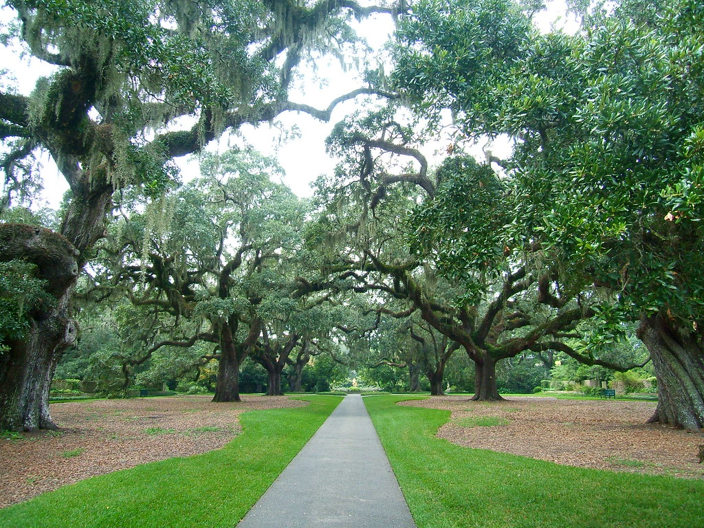 DSCF4313 "Brookgreen Gardens" sheldonschwartz Flickr