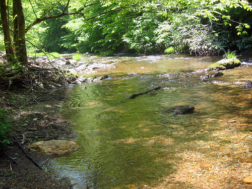 Big Lost Creek Big Lost Creek, along the Lost Creek Campgr… Flickr