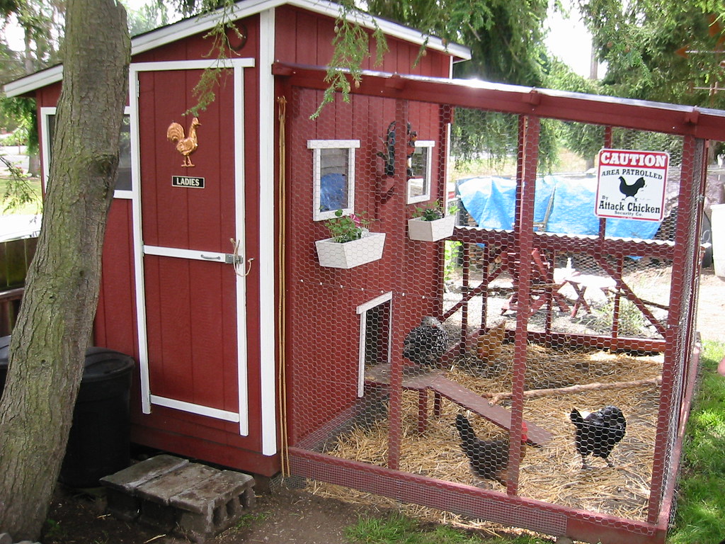 Chicken Coop Tour Picture from Seattle Tilth City Chicken … Flickr
