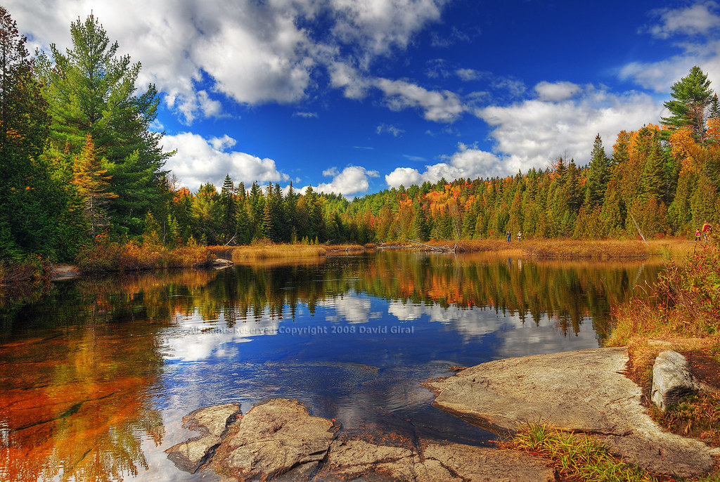 Dreamy Afternoon at the lake Parc Mauricie, Quebec, Cana… Flickr