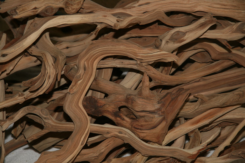 Manzanita Wood I bought a box of manzanita wood from manza… Flickr