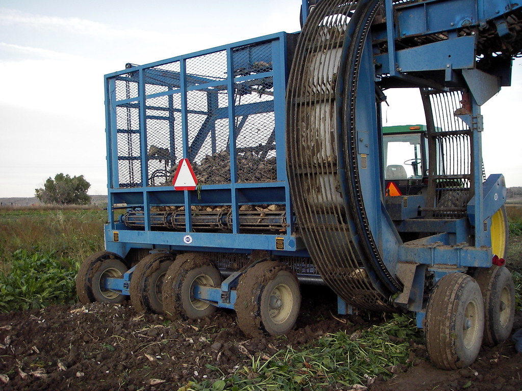Red River Sugar Beet Harvester Karen Flickr