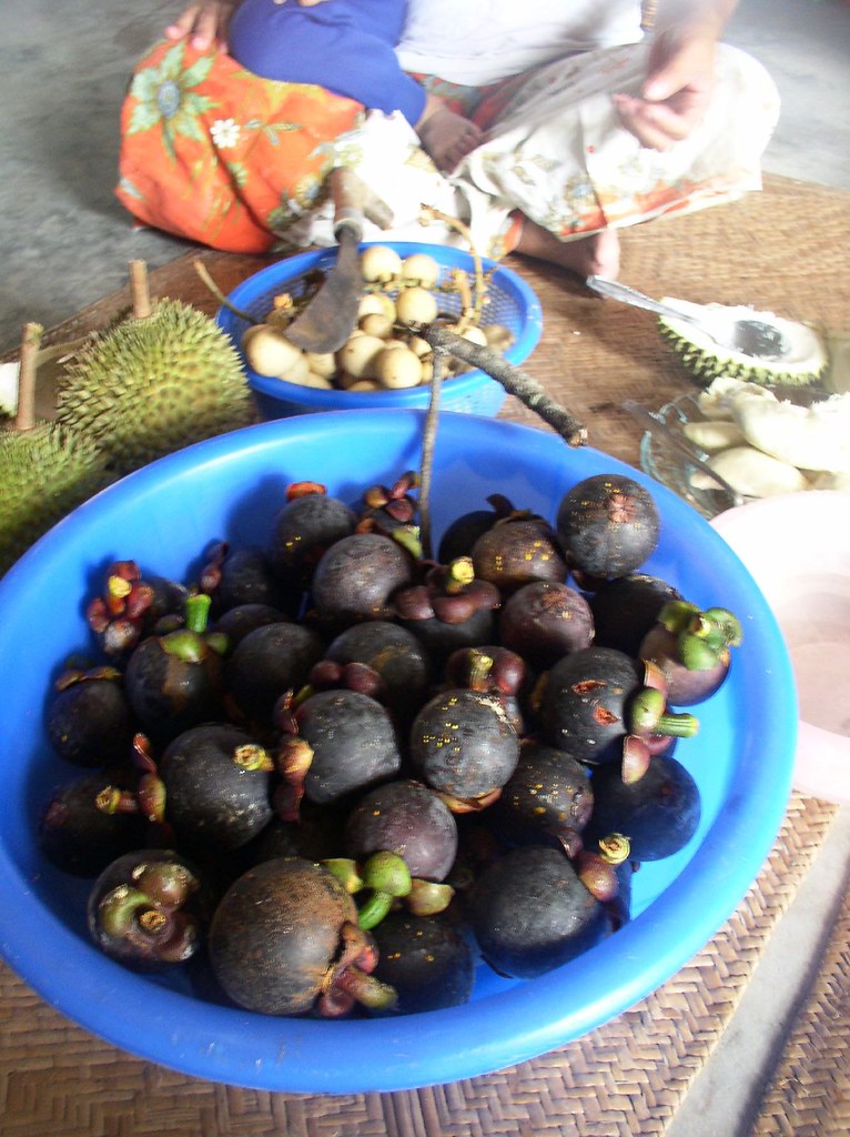 Mangosteen One of my favourite fruits. It taste like custa… tajai