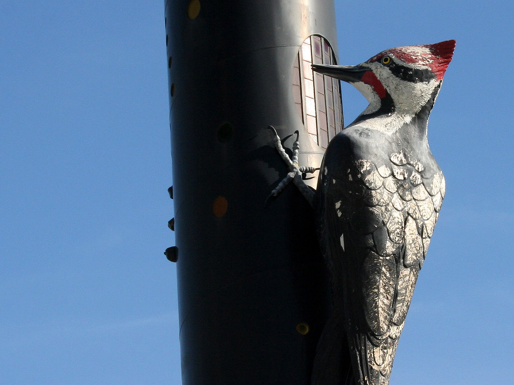 Metal Woodpecker Brown & Co Engineering Ltd. Art Walk Broc… M Kuhn
