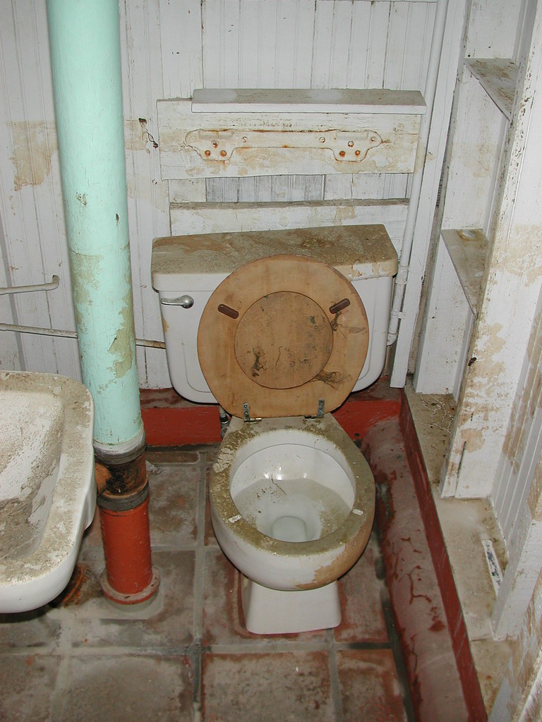 Dirty Toilet Bart Everson Flickr