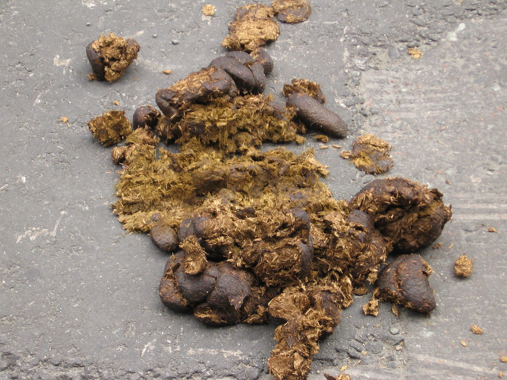 Horse Poo From all the Horse and Cart Rides offerred aroun… Flickr