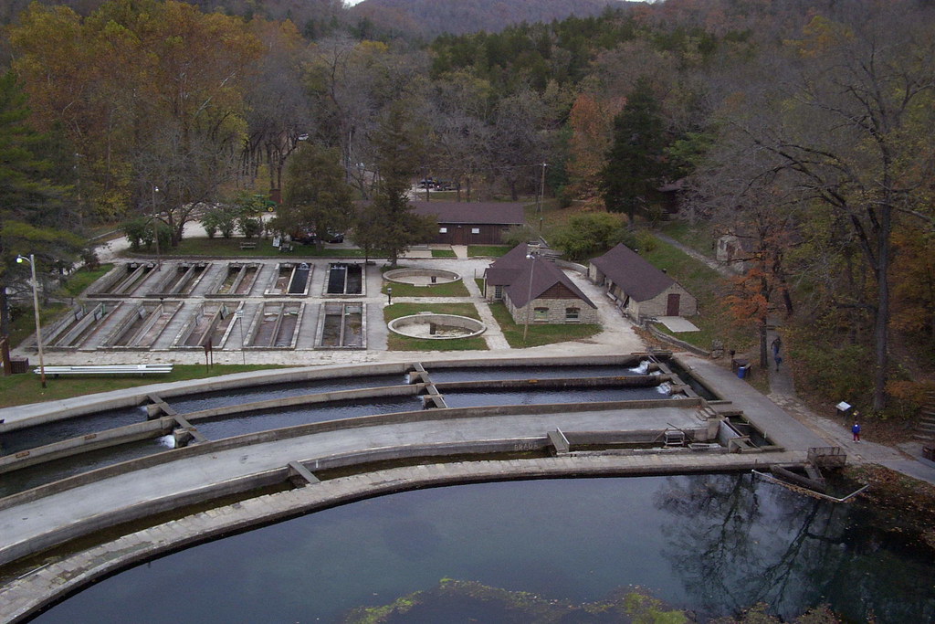 Trout Farm View View of the fish hatchery at Roaring River… Flickr
