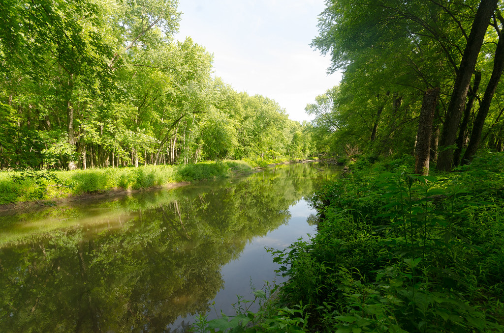 Floodplain Forest Rush River Delta Wisconsin State Natural… Flickr