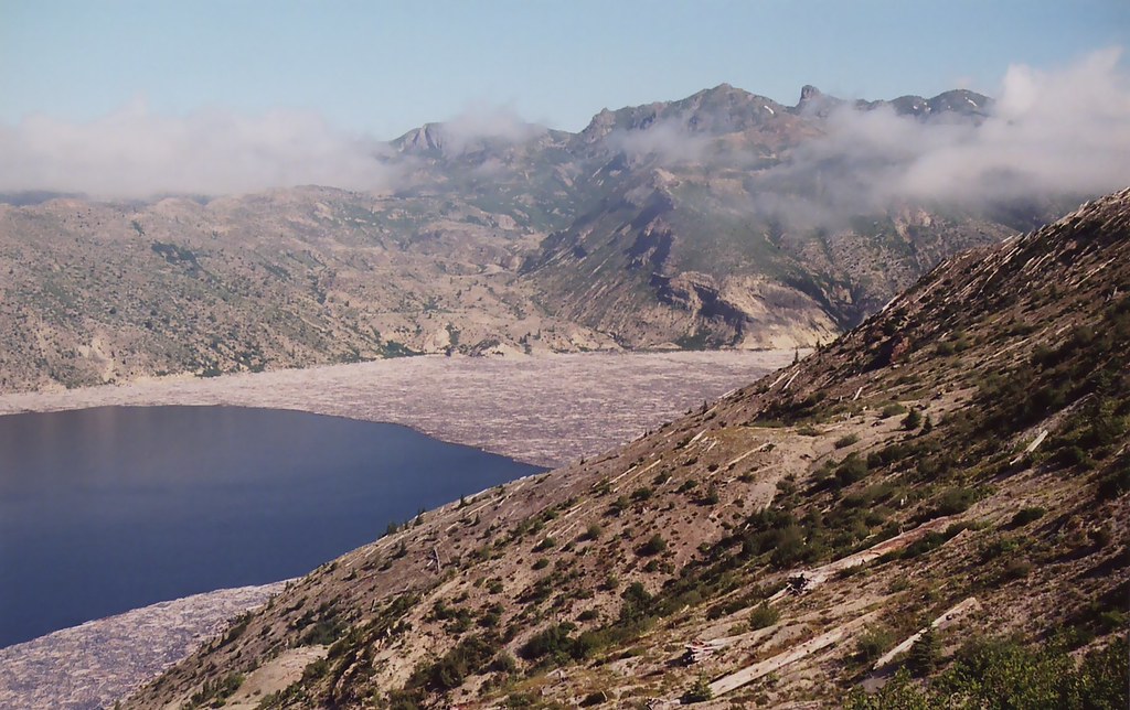 Spirit Lake Floating logs in Spirit Lake, Mt. St. Helens 2… Diana K