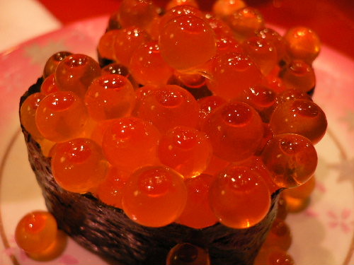 orange fish egg Sushi of Ikurasalted salmon roe Kurojinba Flickr