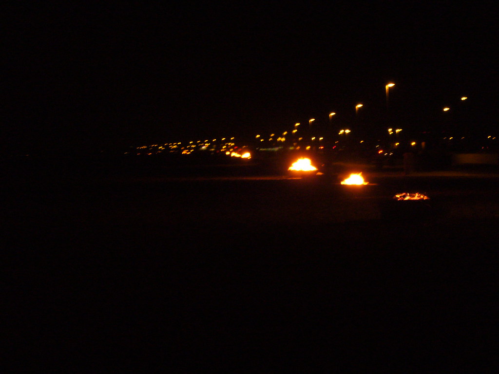 P1000515 fire pits on bolsa chica state beach ninjaries Flickr