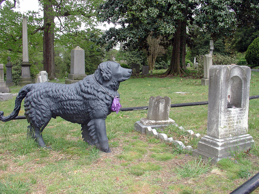 Guarding Her Grave This is the famous cast iron dog in Hol… Flickr