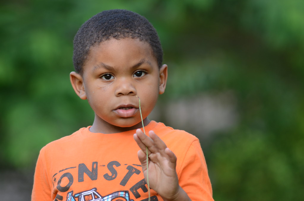 Nikon 200mm F4 Ai S Nikkor Lens Ken Davis Flickr