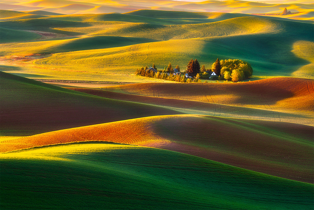 Classic Palouse A classic view in Palouse, Washington. Sti… Flickr