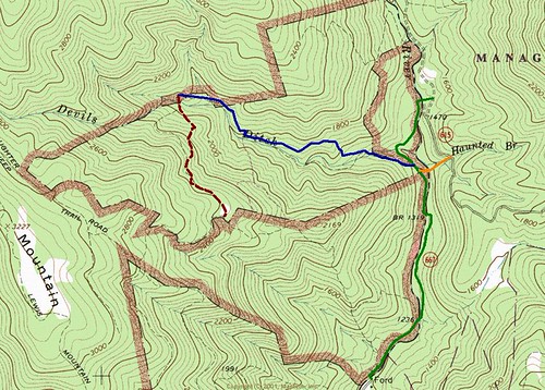 Devil's Ditch Area of Rapidan Wildlife Management Area Flickr