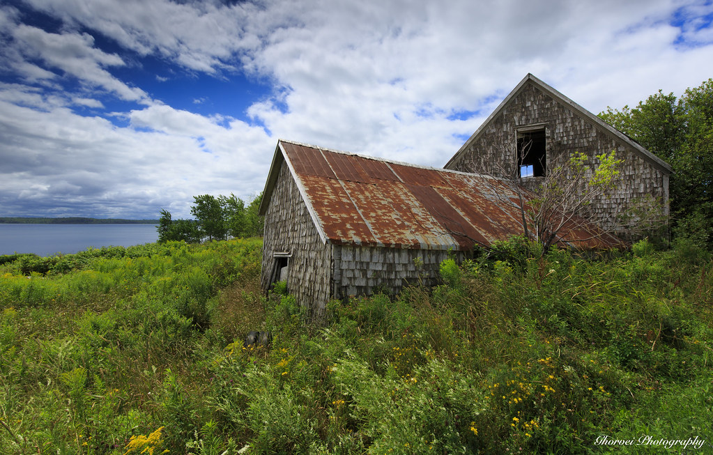 _W1A6488 Caribou Island, Nova Scotia. Mo Ghorvei Flickr