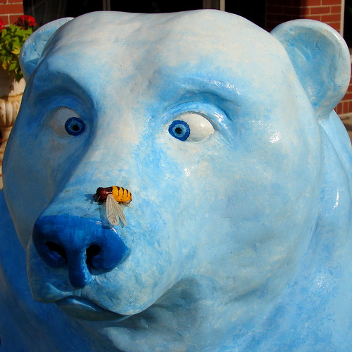 Gladly the Crosseyed Bear meets Eric the HalfaBee Flickr