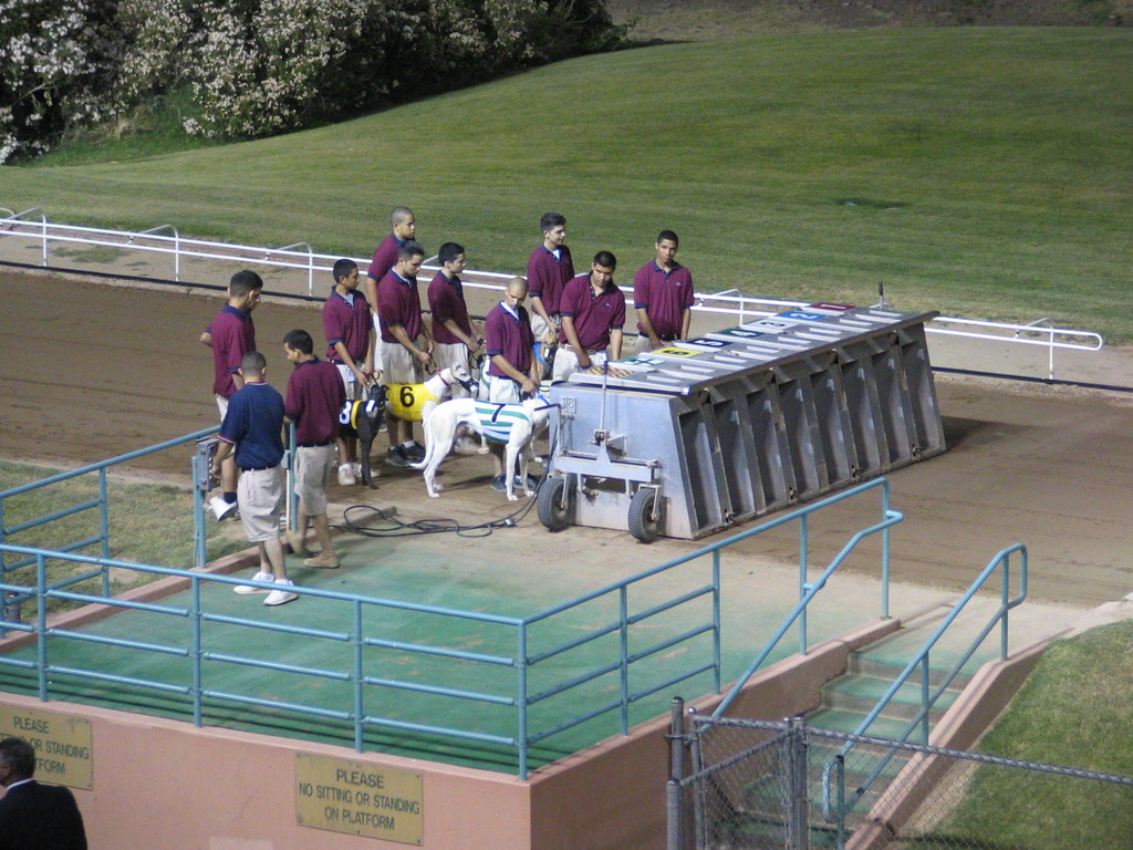Load 'Em Up Phoenix Greyhound Park, Phoenix, AZ M P R Flickr