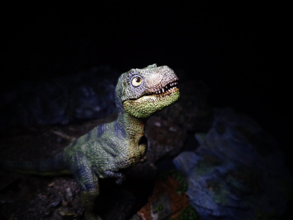 Baby T.Rex Awwwww, a baby! John Morey Flickr