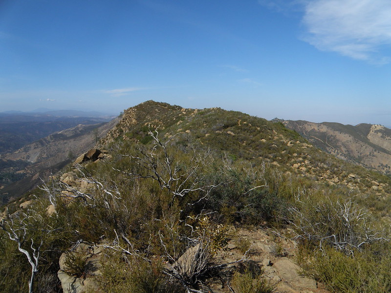 Blue Ridge California