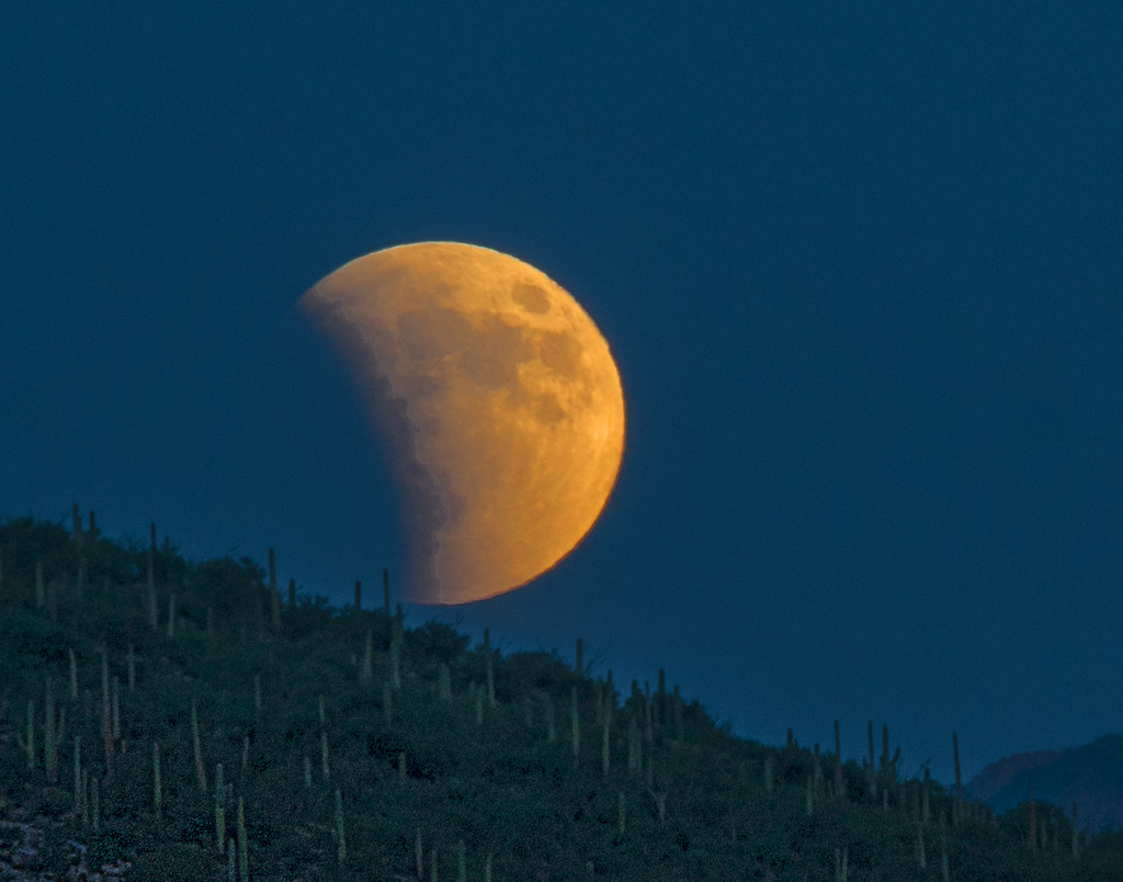 Desert Moon Lunar Eclipse at Sabino Canyon, Tucson, AZ