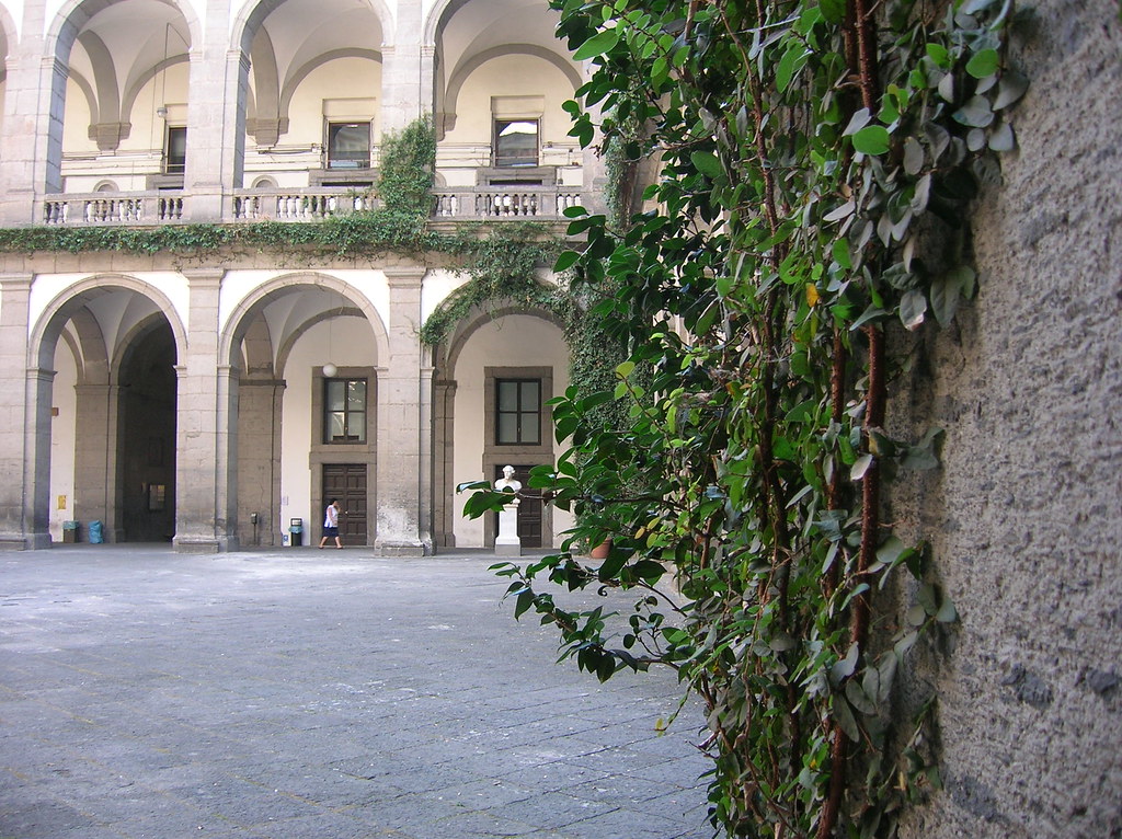 cortile delle statue University of Naples "Federico II" fieldsongs
