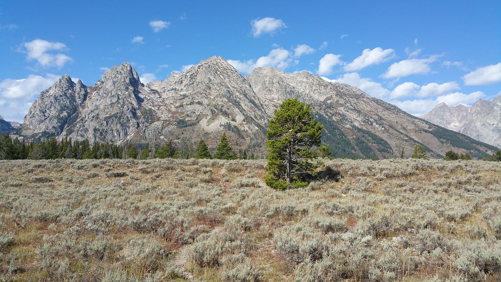 The Grand Tetons (Part 5) Another perfect weather day in t… Flickr