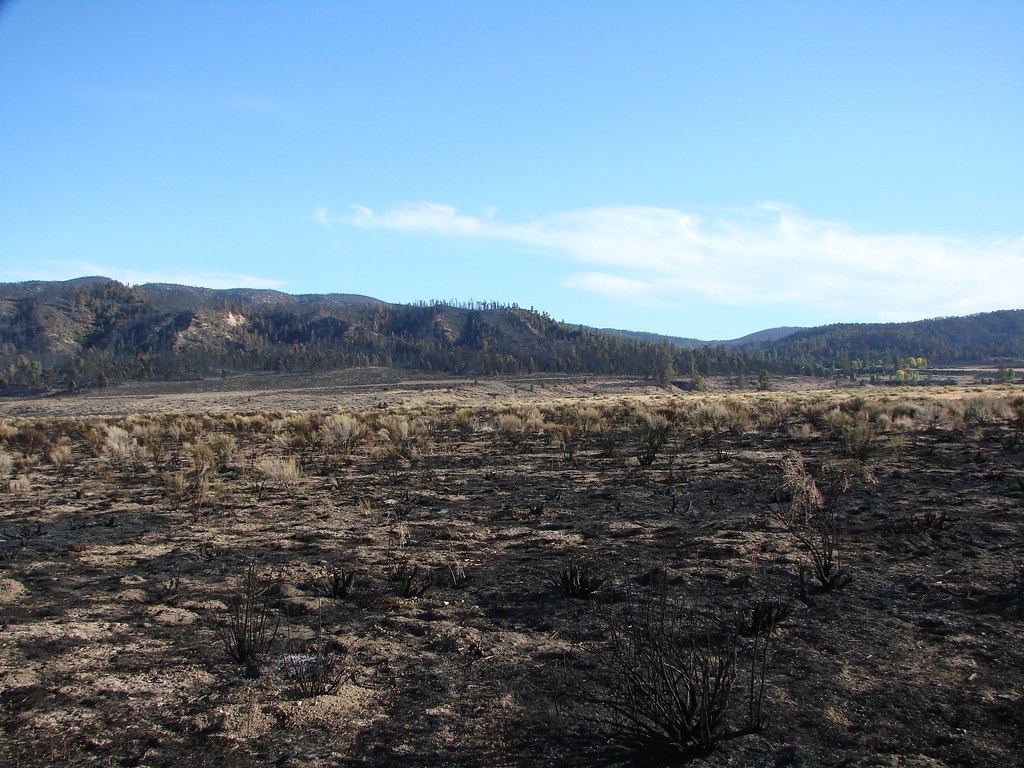Lockwood Valley after the Day Fire This is Lockwood Valley… Flickr