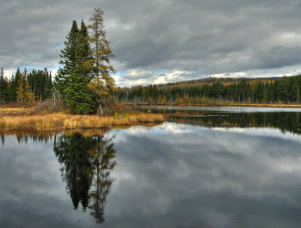Lake St. Peter Rick Harris