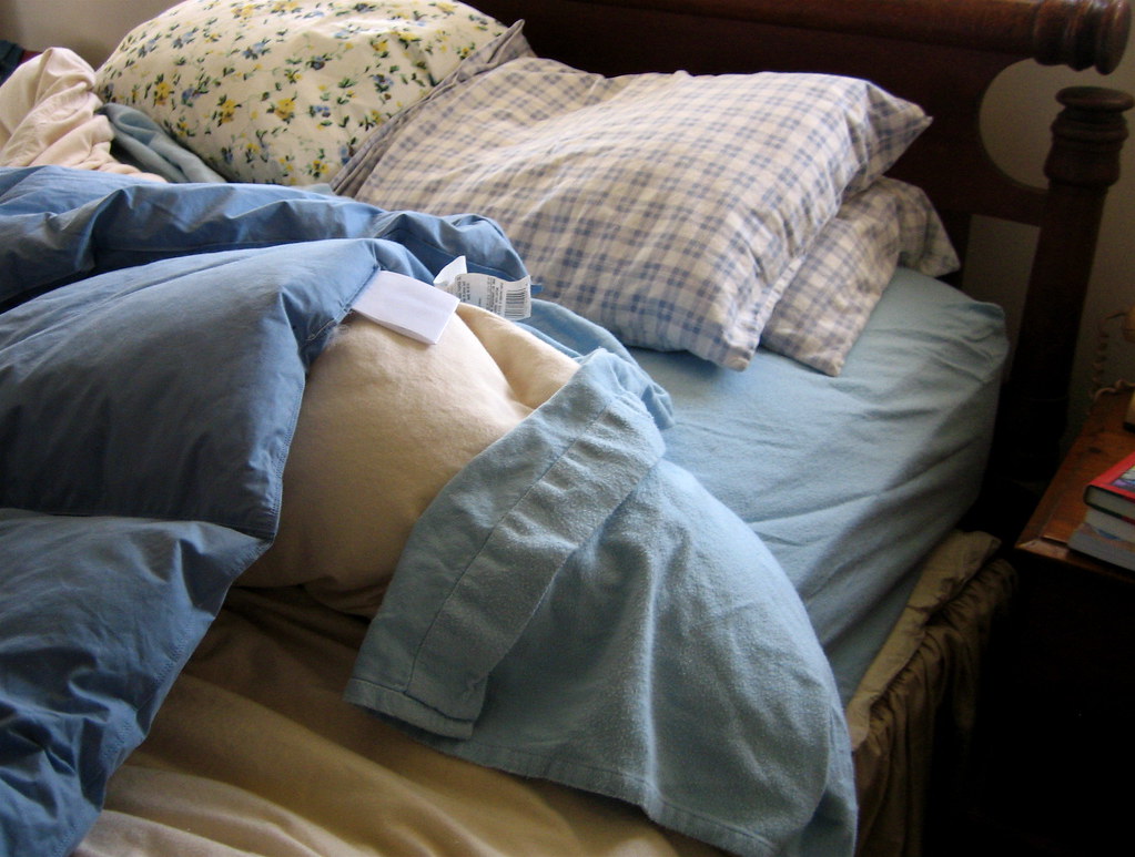 fit for a Princess Last night I slept in my own bed for th… Flickr