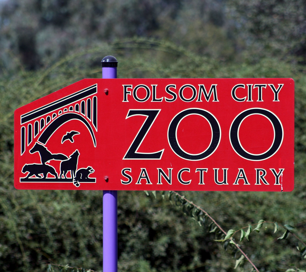 Folsom City Zoo Sanctuary The Folsom Zoo is pretty ghetto … Flickr