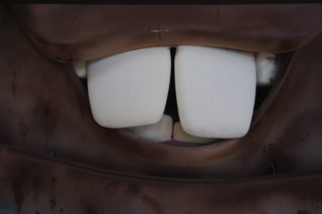 mater's teeth kyle rw Flickr