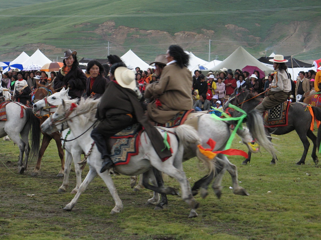how do you spell the sound horses make? Litang Horse