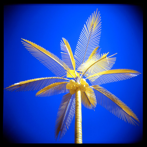 New Mexico Palm Tree New Mexico State Fair Jon Lewis Flickr