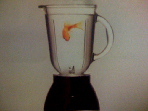 Corporate Fish In A Blender Let me introduce you to a gold… Flickr
