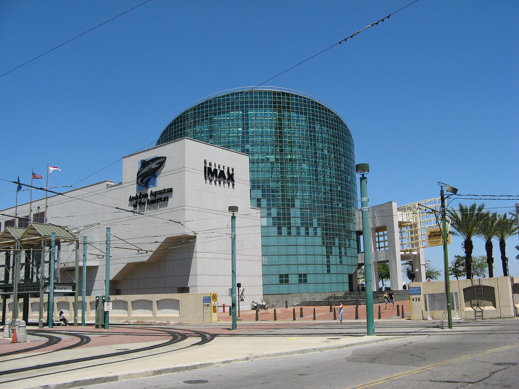 Entergy Imax Aquarium Of The Americas Aquarium Views