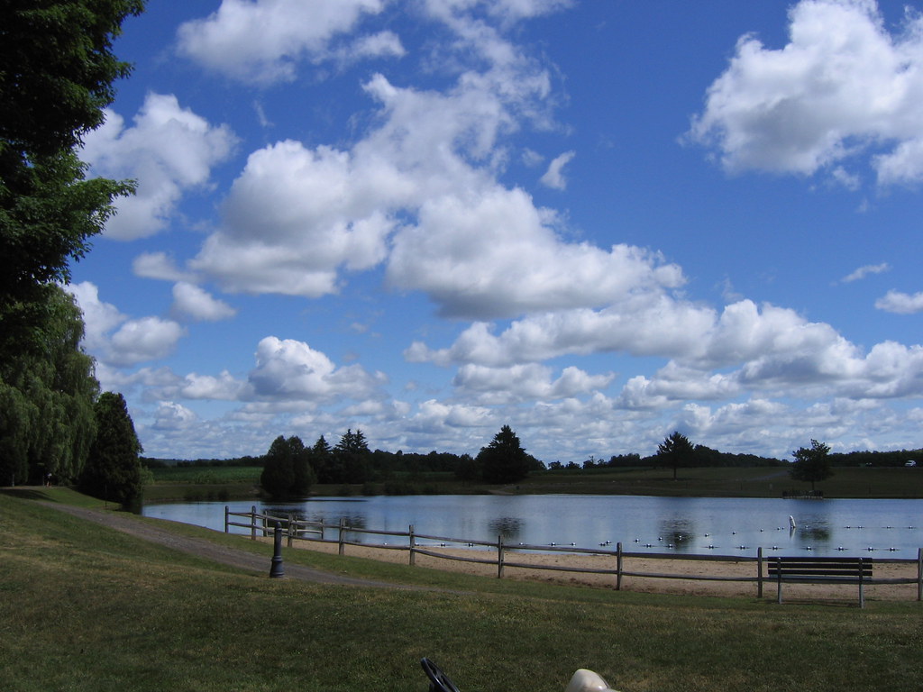 Gillie Lake, Camillus, NY robin_tre Flickr