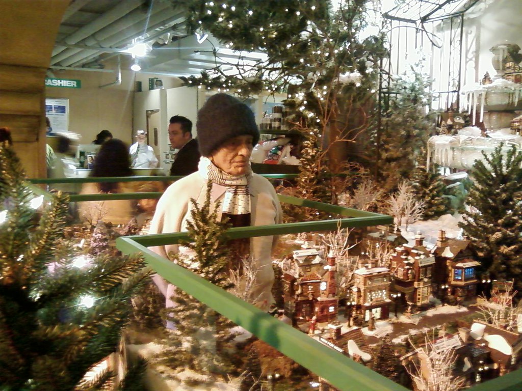 Fortunoff Xmas Dickens Village (Westbury,NY) masurkar Flickr
